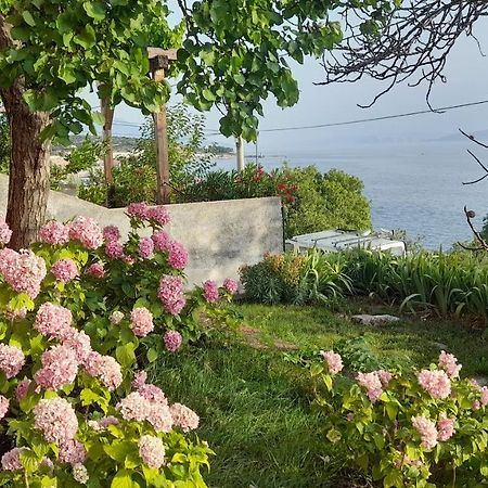 Apartments Mare Croatia Сень Екстер'єр фото